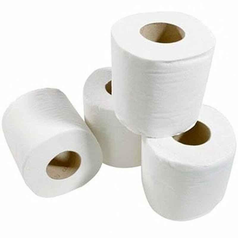 Intercare Economic Toilet Roll, 2 Ply, 100 Roll
