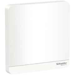 Schneider Electric AvatarOn 1 Module Polycarbonate White Blank Plate, E8330X_WE