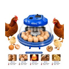 Ndeal 18 Eggs 80W Plastic Blue Automatic Egg Incubator