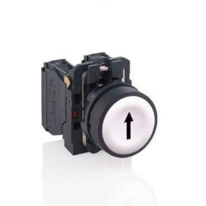 Schneider Illuminated Flush Integral LED Type White Push Button with Smooth Lens, XB5AW31B1N