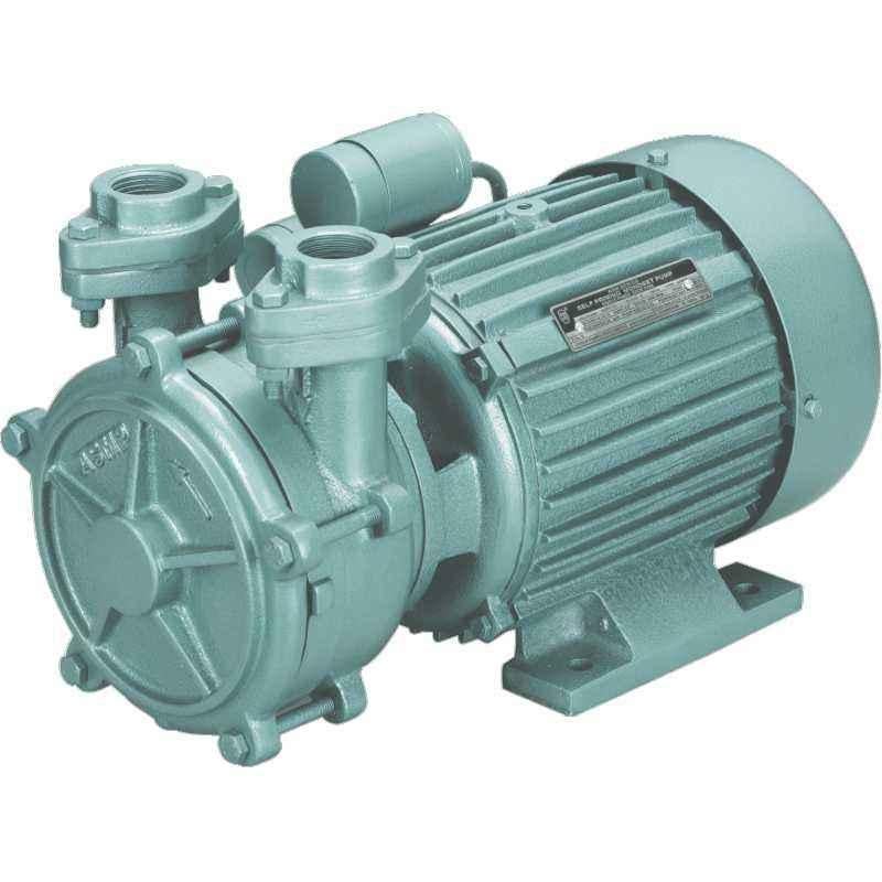 CRI SELFY100-1 HP Water Pump-25x25 mm, Single Phase
