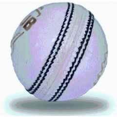 GEM Sports Standard White Cricket Leather Ball