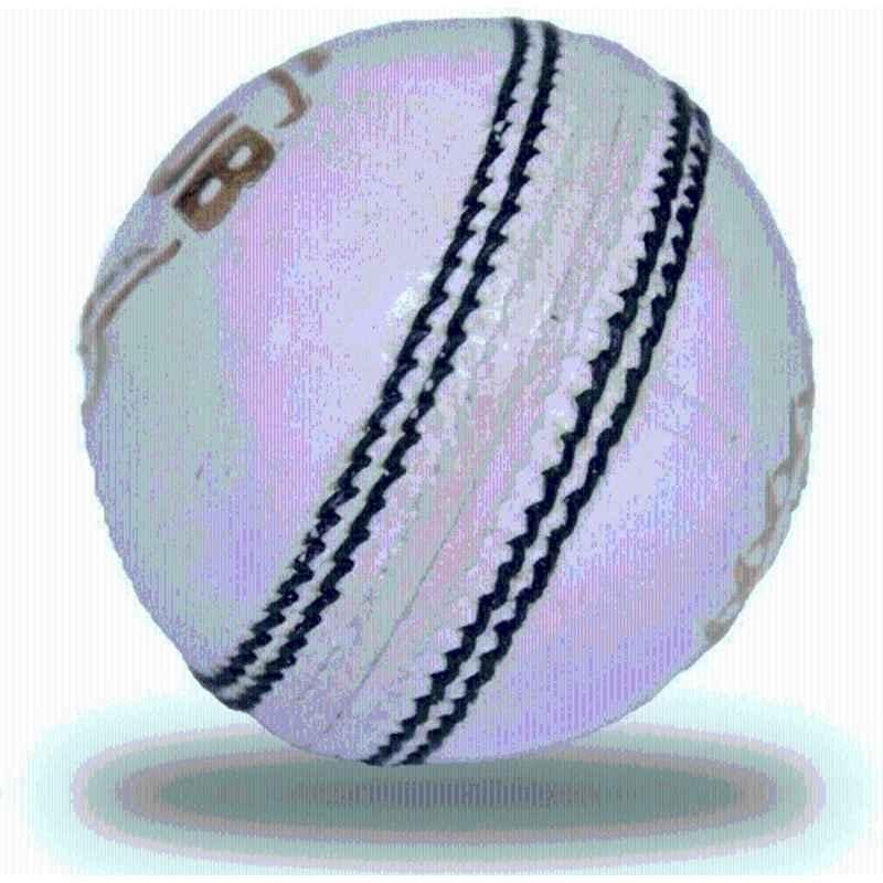 GEM Sports Standard White Cricket Leather Ball