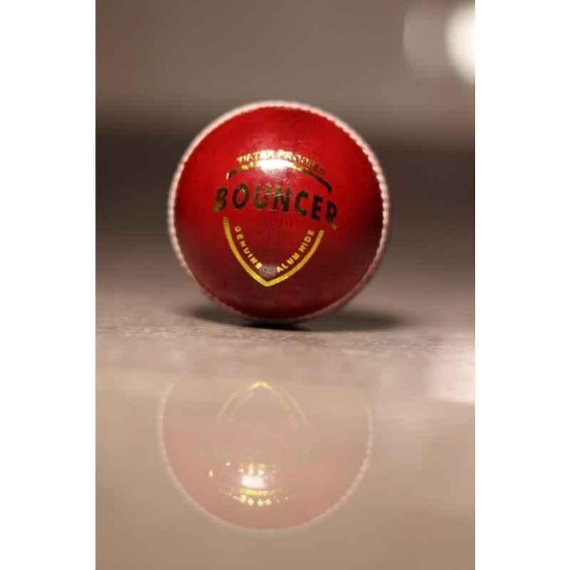 LSI Sports Red Bouncer 2 Pcs Cricket Ball Cricket Leather Ball (Standard Red)
