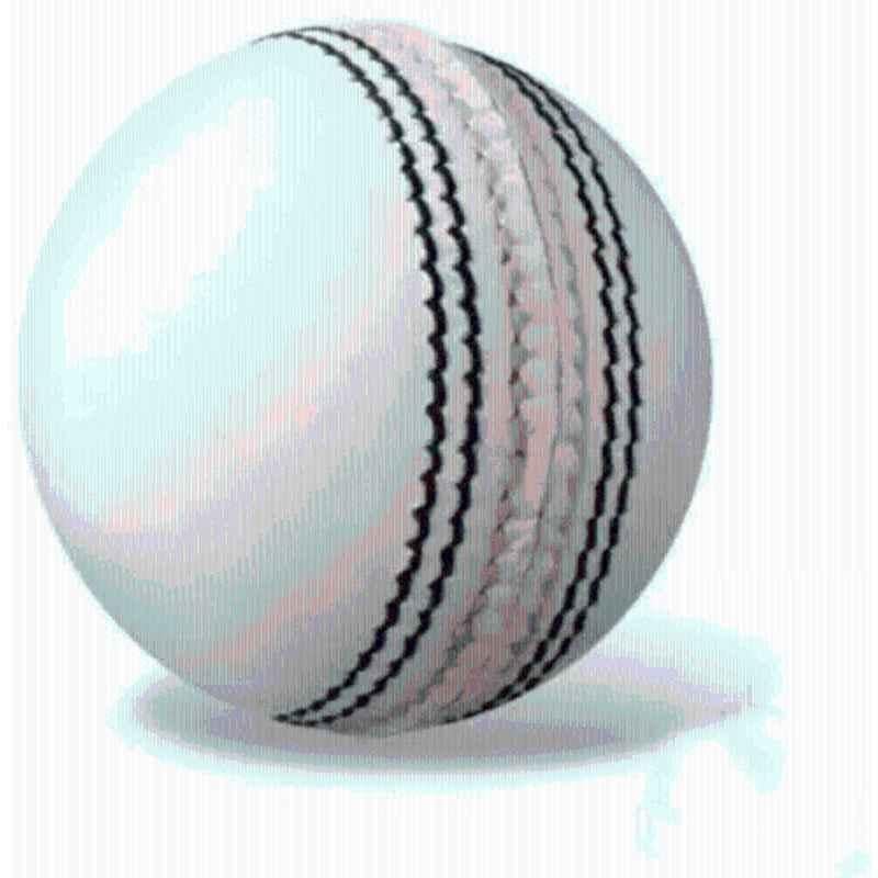 Shourya Traders Original Red Leather Cricket Ball