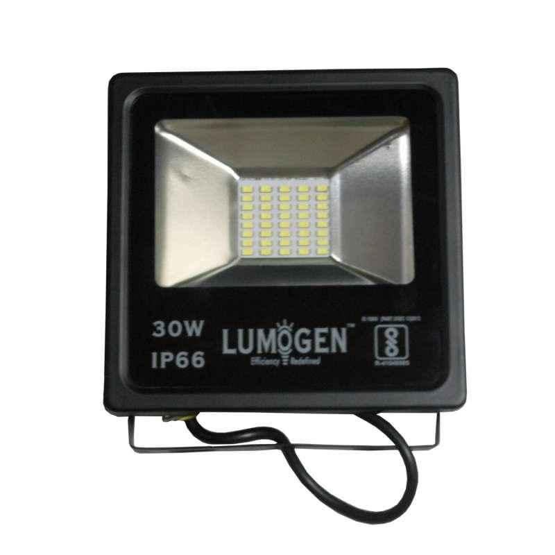 LumoGen 30W Cool White Heavy Duty SMD Flood Light
