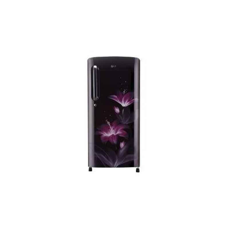 LG 190L 4 Star Purple Glow Smart Inverter Refrigerator, GL-B201APGX