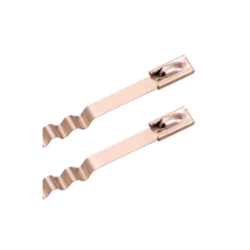 R-Loc 100 Pcs 4.6x620mm SS316 Spring Type Uncoated Ball Lock Cable Ties Bag, BUz46-680