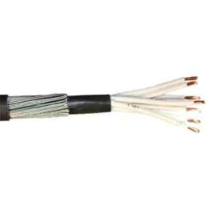 Polycab 2.5 Sqmm 61 Core Copper Armoured Low Tension Cable, 2XWY, Length: 100 m