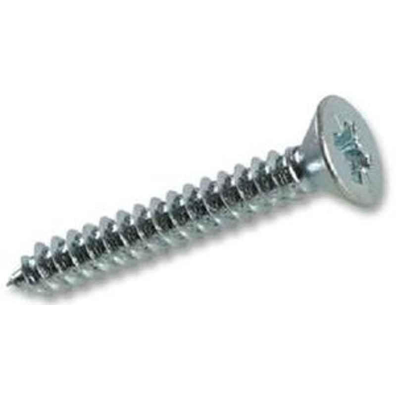 Raj 10mm Length 16mm Stainless Steel Pan Philips Self Tapping Screw