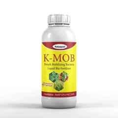 Katyayani 1L Verticillium Lecanii, Beauveria Bassiana & Metarhizium Anisopliae Bio Pesticide, K-257 (Pack of 3)