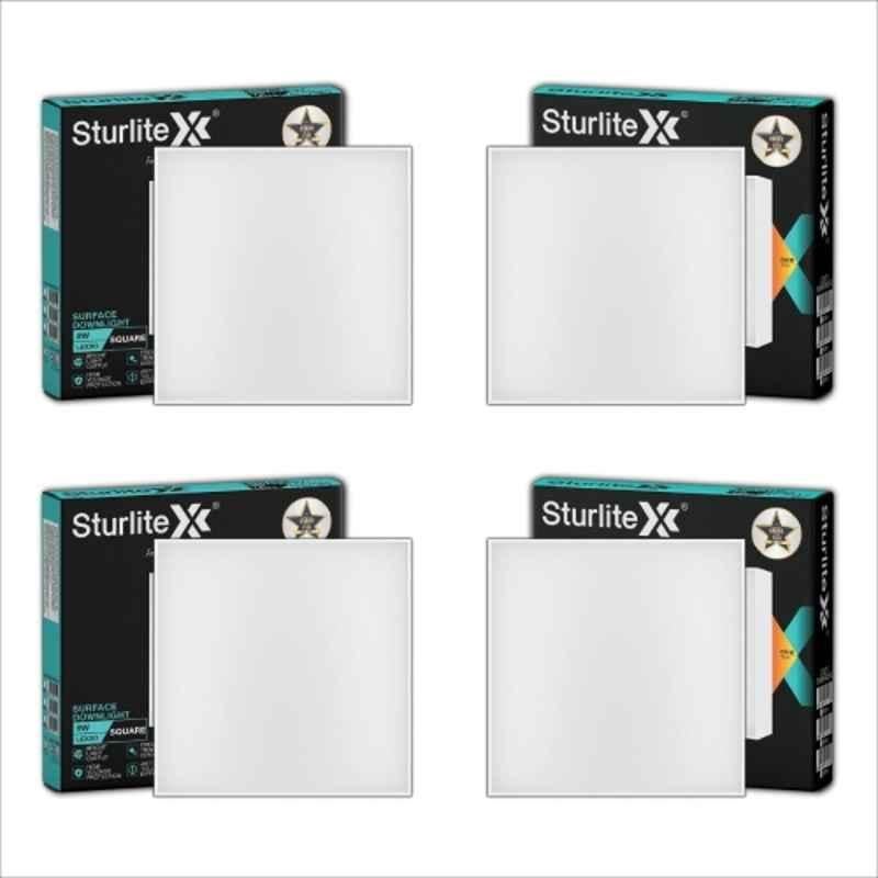 Sturlite Lexxo 8W 800lm Cool White Square LED Surface Light (Pack of 4)
