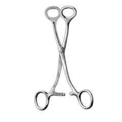 Alis 17cm/6 3/4 inch Collin, A-GEN-842-17