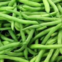 Only For Organic 50g French Beans Seeds for Home Gardening