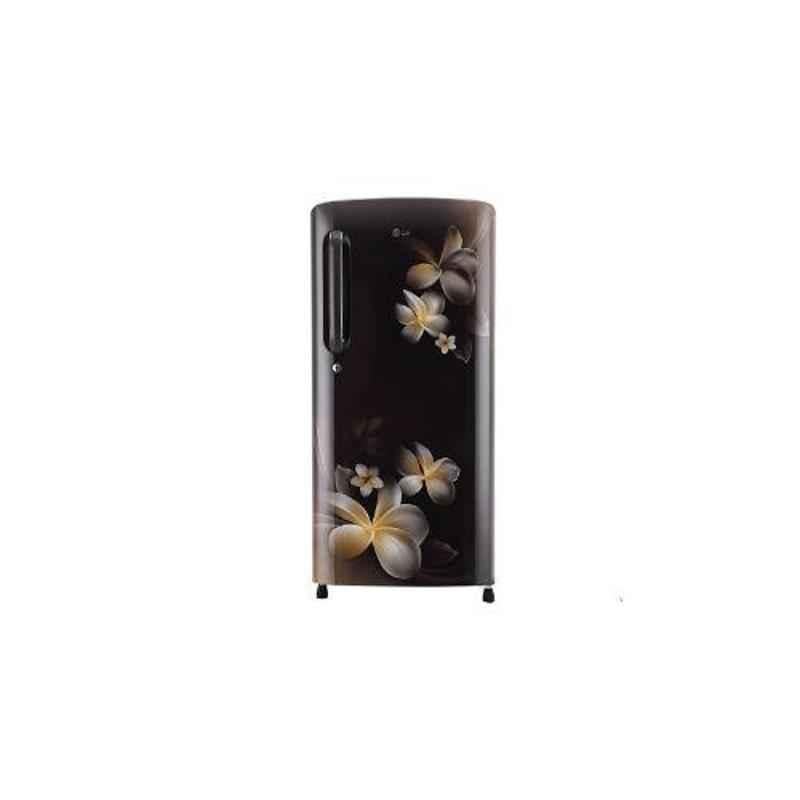 LG 190L 4 Star Hazel Plumeria Smart Inverter Refrigerator, GL-B201AHPX