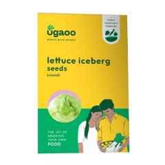 Ugaoo 25g Vegetable Lettuce Iceberg Seeds, NUVSO217