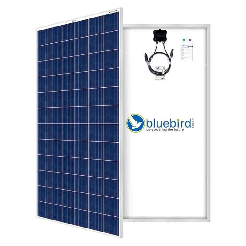 Bluebird 335W Poly 24V Monocrystalline Solar panel, BBS24F335 (Pack of 2)