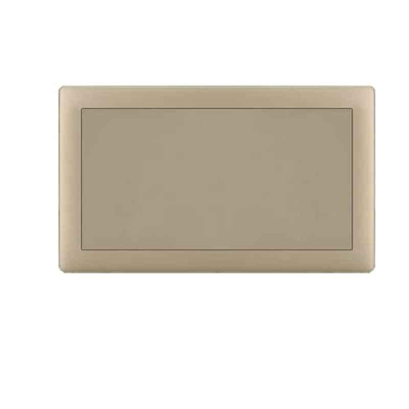 Vmax 3x6 inch Golden Matt Switch Socket Blank Plate