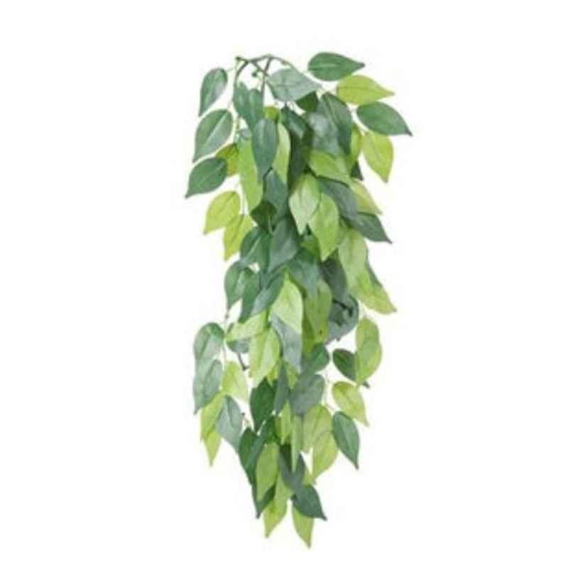 Trixie Silk Plant Ficus