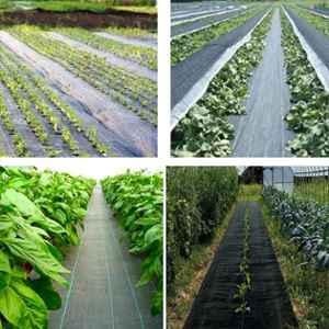 Singhal 2x20m 110 GSM Woven Fabric Black Sheet Mat for Garden Weed Control Barrier