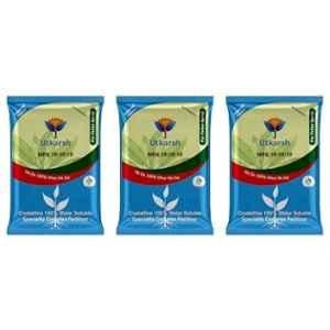 Utkarsh NPK 19:19:19 900g Crystalline 100% Water Soluble Speciality Complex Fertilizer (Pack of 3)