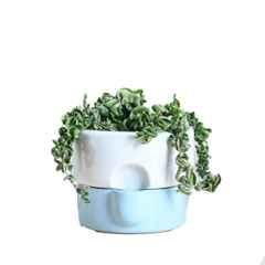 Ugaoo Ceramic Terracotta Blue Flower Sunflower Planter, NUCP1227