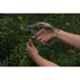 Nishigaki 8 inch Steel Professional Pruning Secateur, N-203