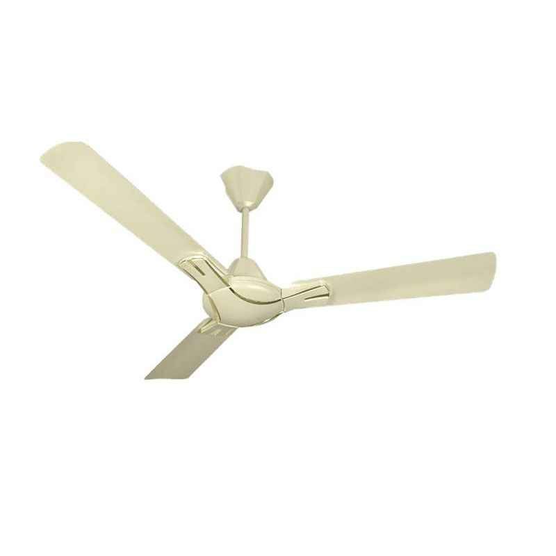 Black Cat 350rpm Carino Ivory & Gold Ceiling Fans, Sweep: 1200 mm (Pack of 6)