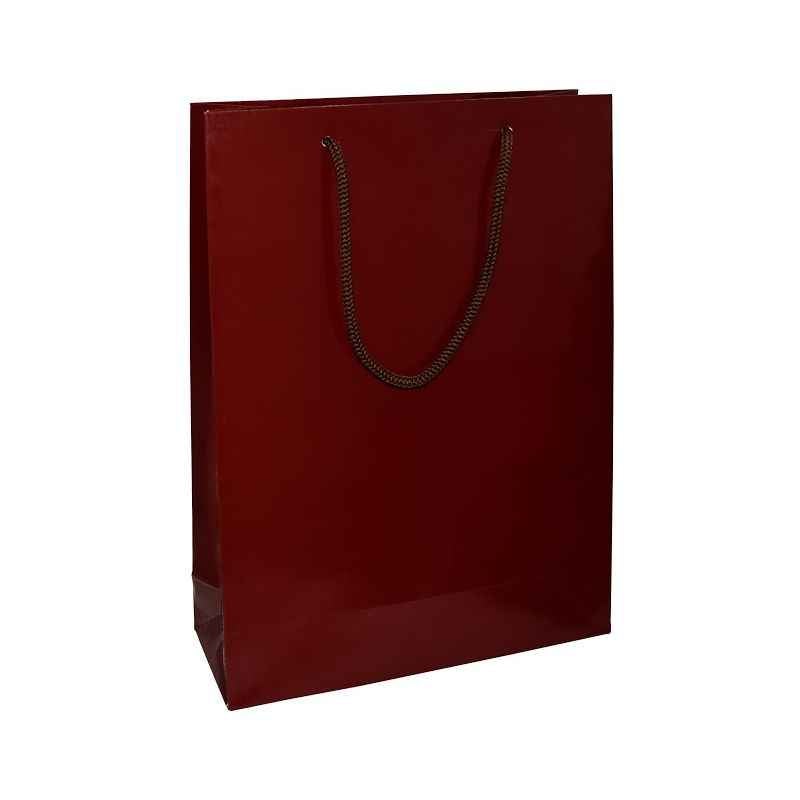 Aspen Gloss Laminated Dark Brown Paper Bag, AC-022-020 (Pack of 96)