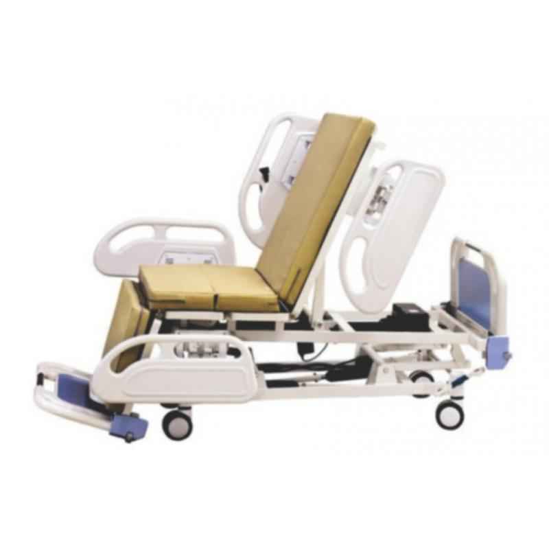 Tripti TS-001 12 Function Electric ICU Bed