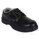 Polo Steel Toe Black Work Safety Shoes, Size: 6 (Pack of 24)