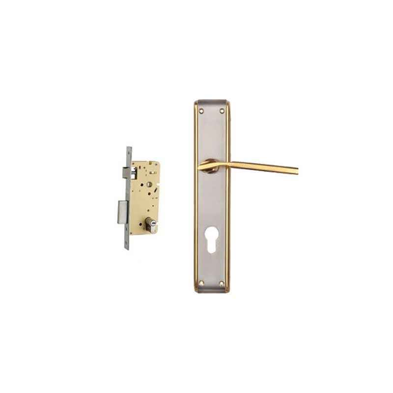 Plaza Fabia Gold Silver Finish Handle with 250mm Pin Cylinder Mortice Lock & 3 Keys