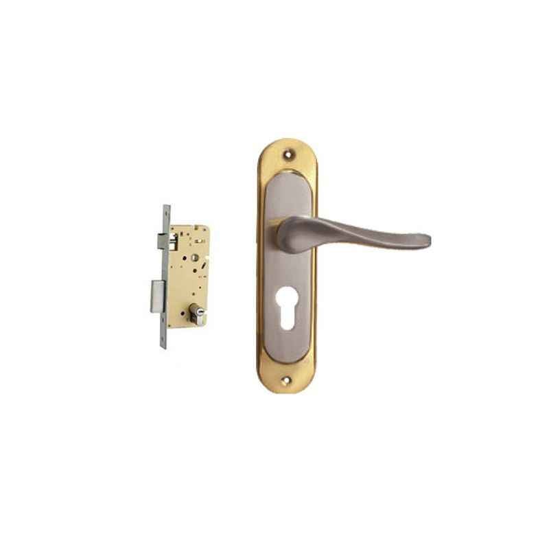 Plaza Audi Gold Silver Finish Handle with 250mm Pin Cylinder Mortice Lock & 3 Keys