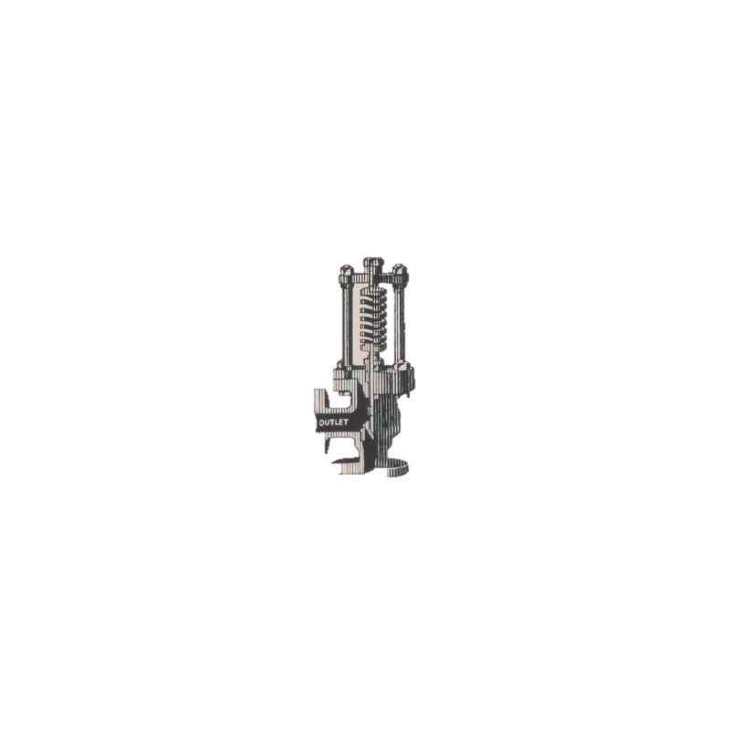 Divine C.I. Open Flow Spring Loaded Relief Valve (Angle Type), Size: 12 in
