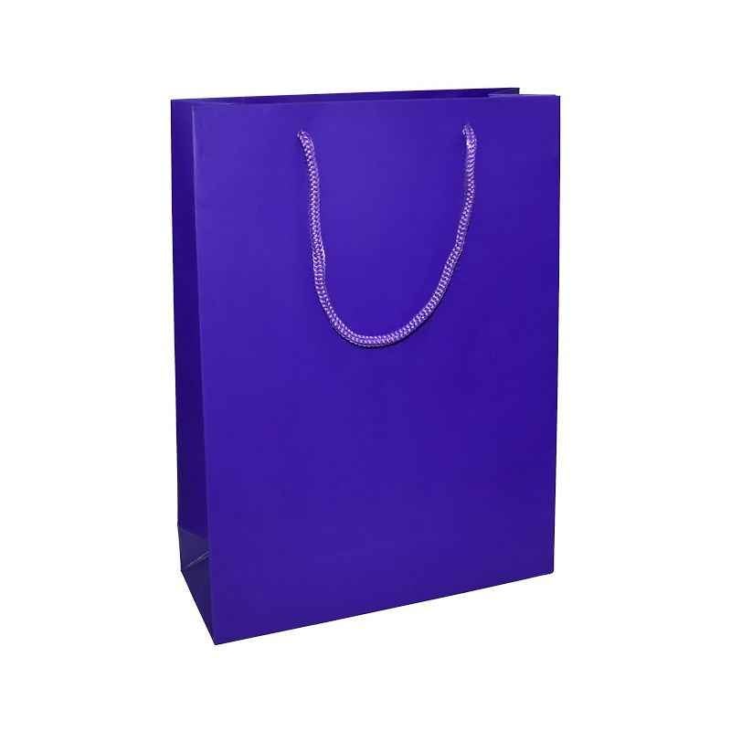 Aspen Matte Laminated Violet Purple Paper Bag, AC-028-020 (Pack of 96)