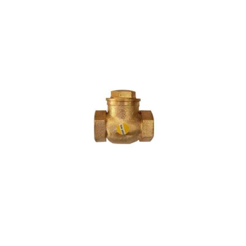 Navjyoti 25mm Non Return Valve