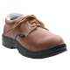Polo Derby Steel Toe Brown Work Safety Shoes, Size: 6 (Pack of 24)