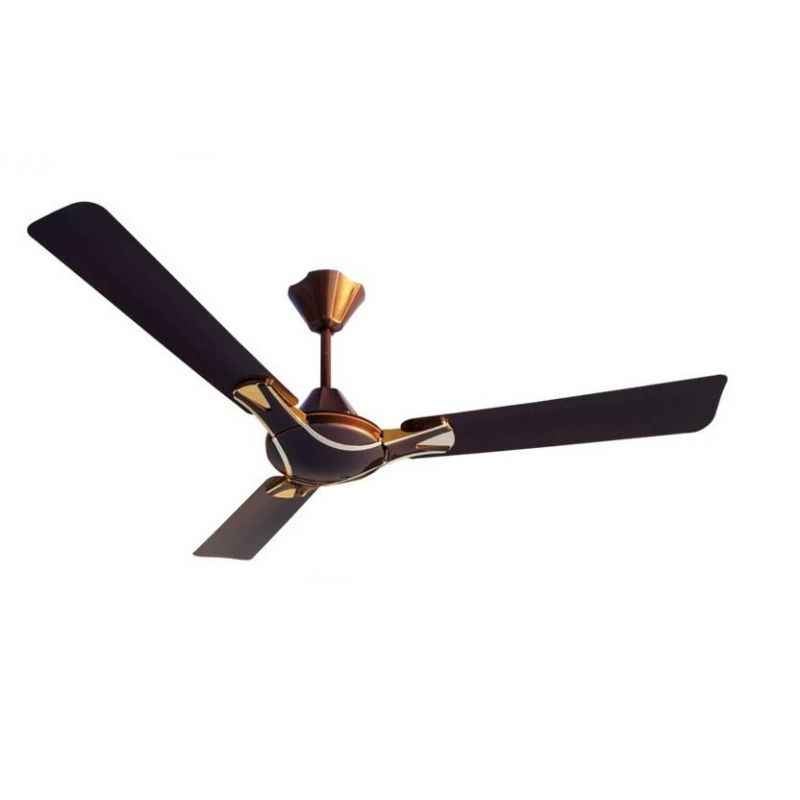 Black Cat 350rpm Carino Chocolate & Gold Ceiling Fans, Sweep: 1200 mm (Pack of 4)