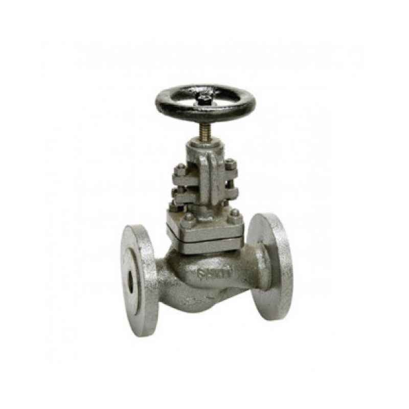 Sant 1/2 Inch Cast Iron Globe Valve, CI 1A
