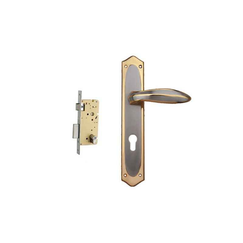 Plaza Ria Gold Silver Finish Handle with 250mm Pin Cylinder Mortice Lock & 3 Keys