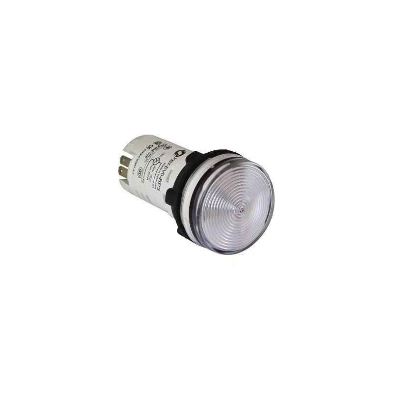 Schneider Electric Illuminated Flush Integral LED Type Clear Push Button With Striated Lens, XB5AW37G1N