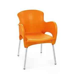 Cello Xylo Image Series Chair, Dimensions: 800x530x590 mm