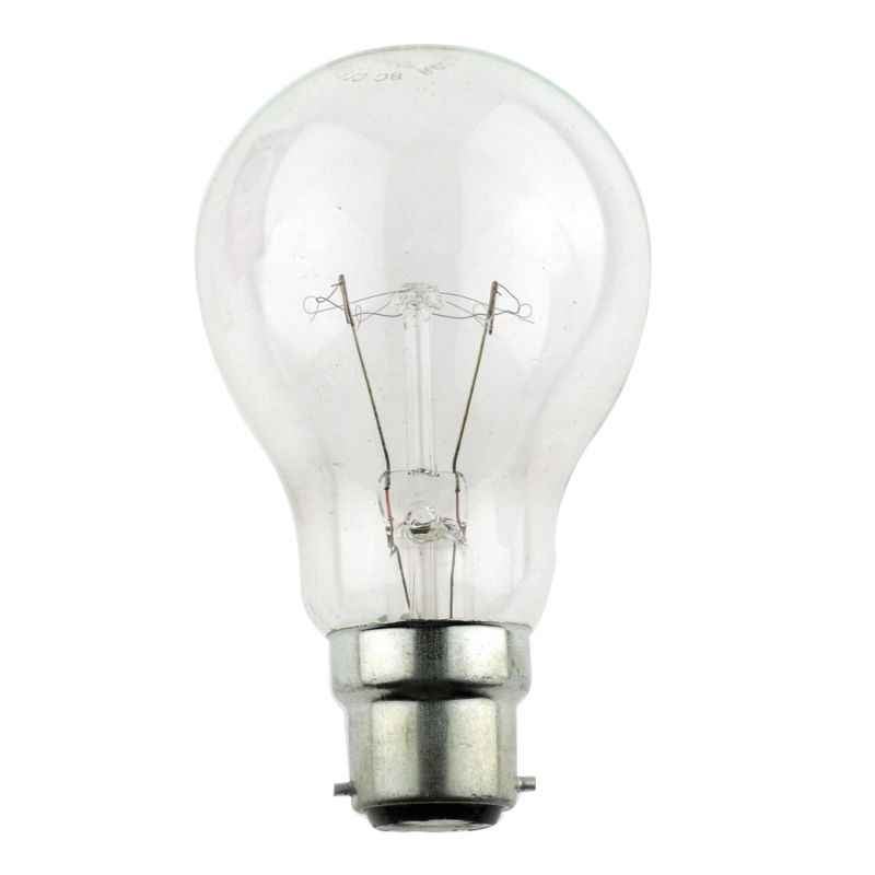 Surya 100W Clear Bulb