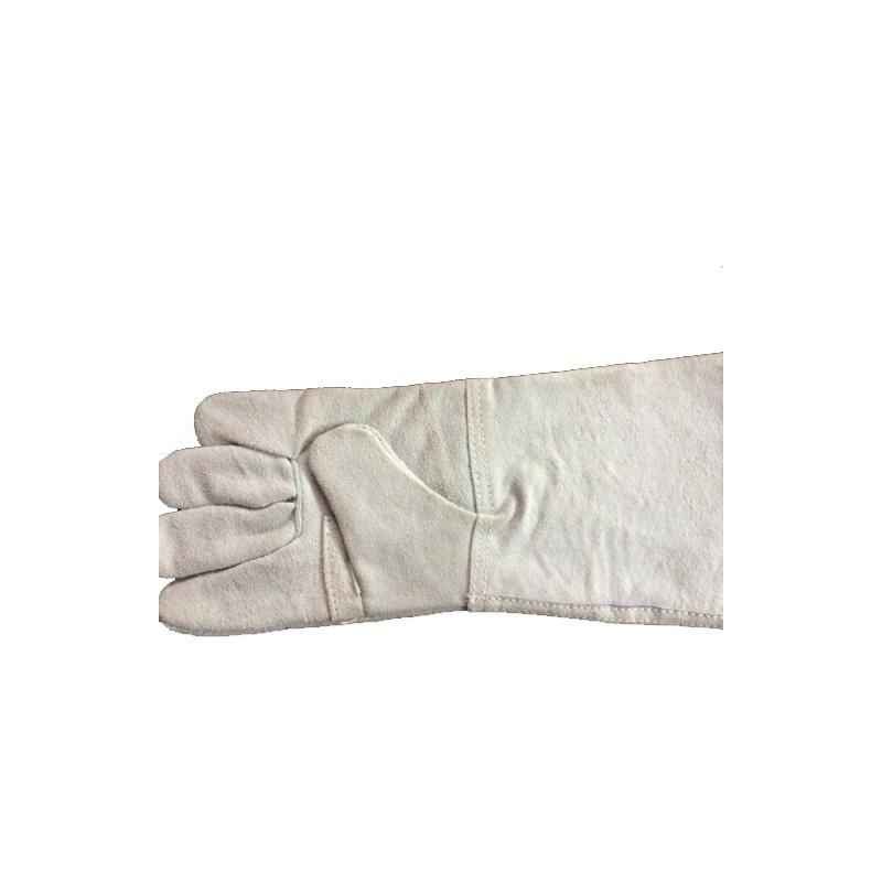 Shiva Fine Leather Hand Gloves (Pack of 10)