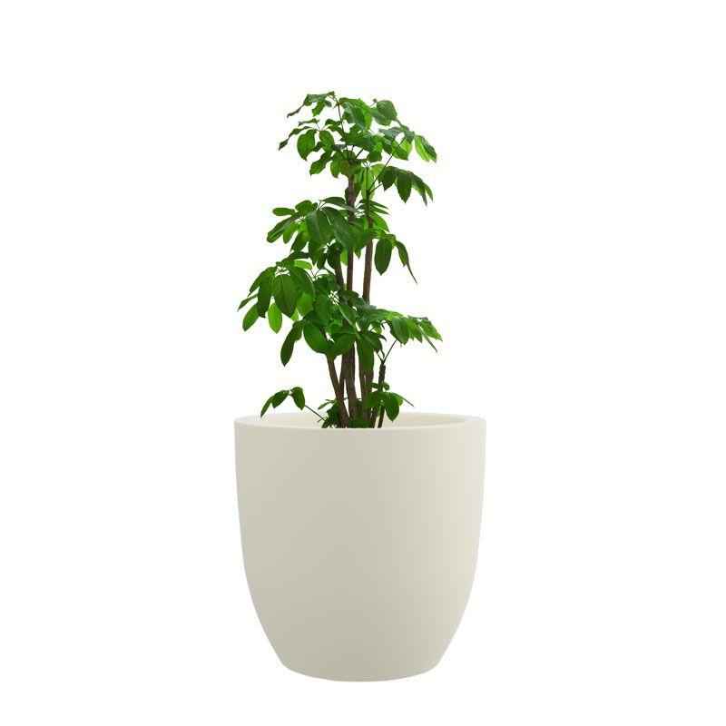 Yuccabe Italia 12 Inch Cream White P Cup Planter