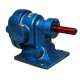 Rotodel 20 lpm Blue Standard Rotary Gear Pump, HGN 050