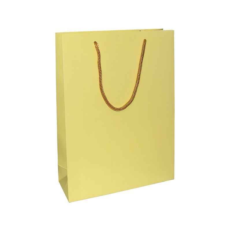 Aspen Gloss Laminated Ivory Creame Paper Bag, AC-025-020 (Pack of 96)