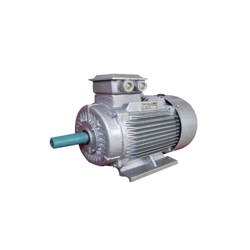 Bharat Bijlee 120HP 6 Pole Foot Mounting Squirrel Cage Induction Motor, 2J31M633