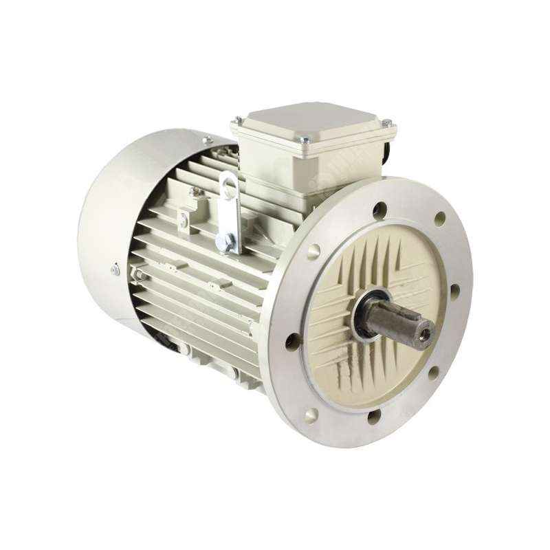Kirloskar 5 HP Double Pole KI-100L, Flange Mounted 3 PhaseTEFC Motor