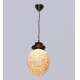 The Brighter Side Shell Oval Hanging Light